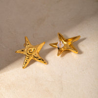 Thumbnail for Stainless Steel Star Shape Earrings - GlamBee Fashion